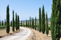 Weine aus Italien