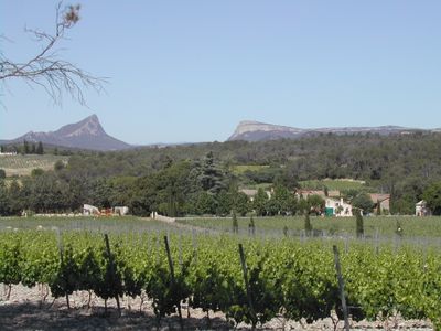 Weine aus Frankreich
