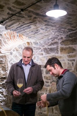 Weingut Reiner Sauer, Franken