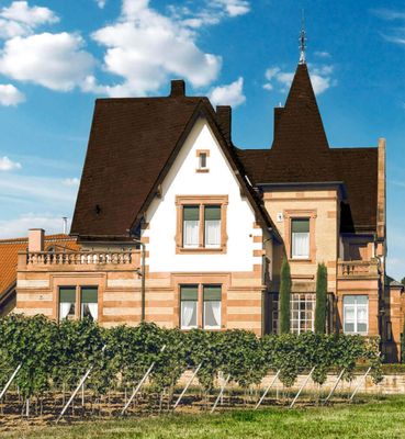 Weingut Faubel, Pfalz