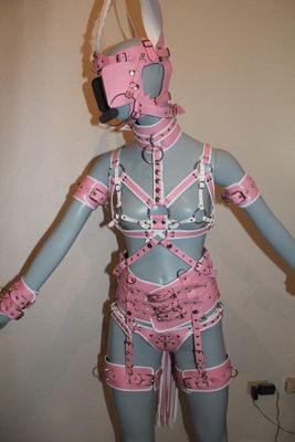 PONYGIRL HARNESS Ponyplay/Petplay Full Set – Includes Head Harness and Bitgag - Bondage Fetish BDSM Authentic Leather