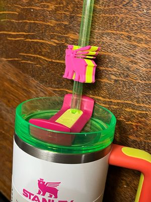 Two Color Bear Slides For Tumbler Straws