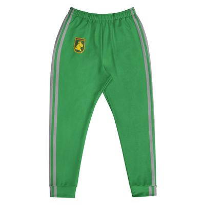 Sea Green Track Suit bottom with grey stripes