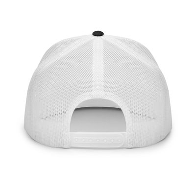 RIR PRECISION CAP