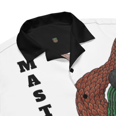 MASTER CHAOS