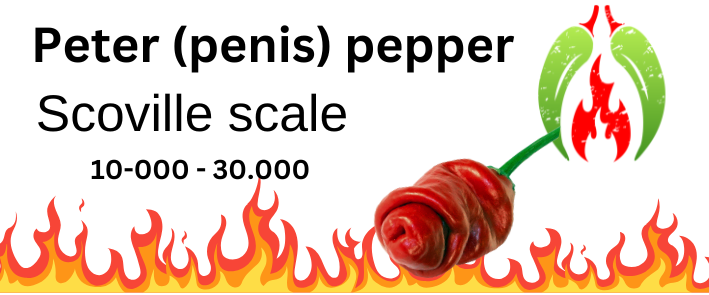 Peter (penis pepper)