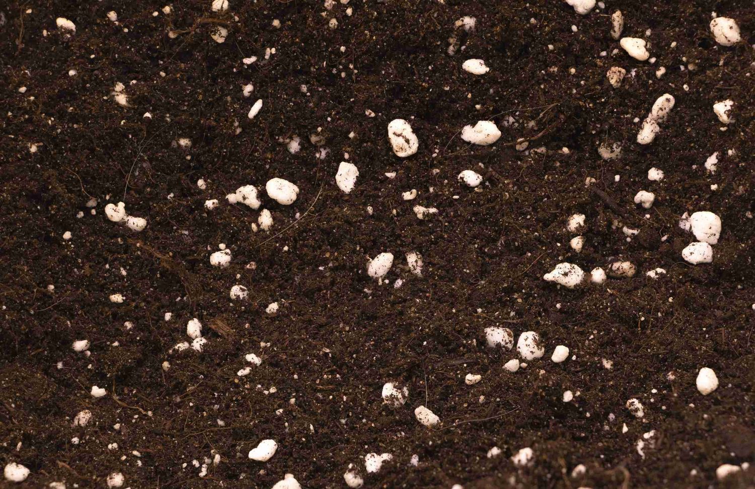 Premium quality nutrient-rich potting mix 5L