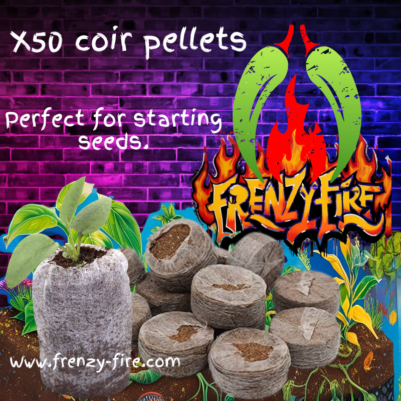 X 50 COCO COIR PELLETS