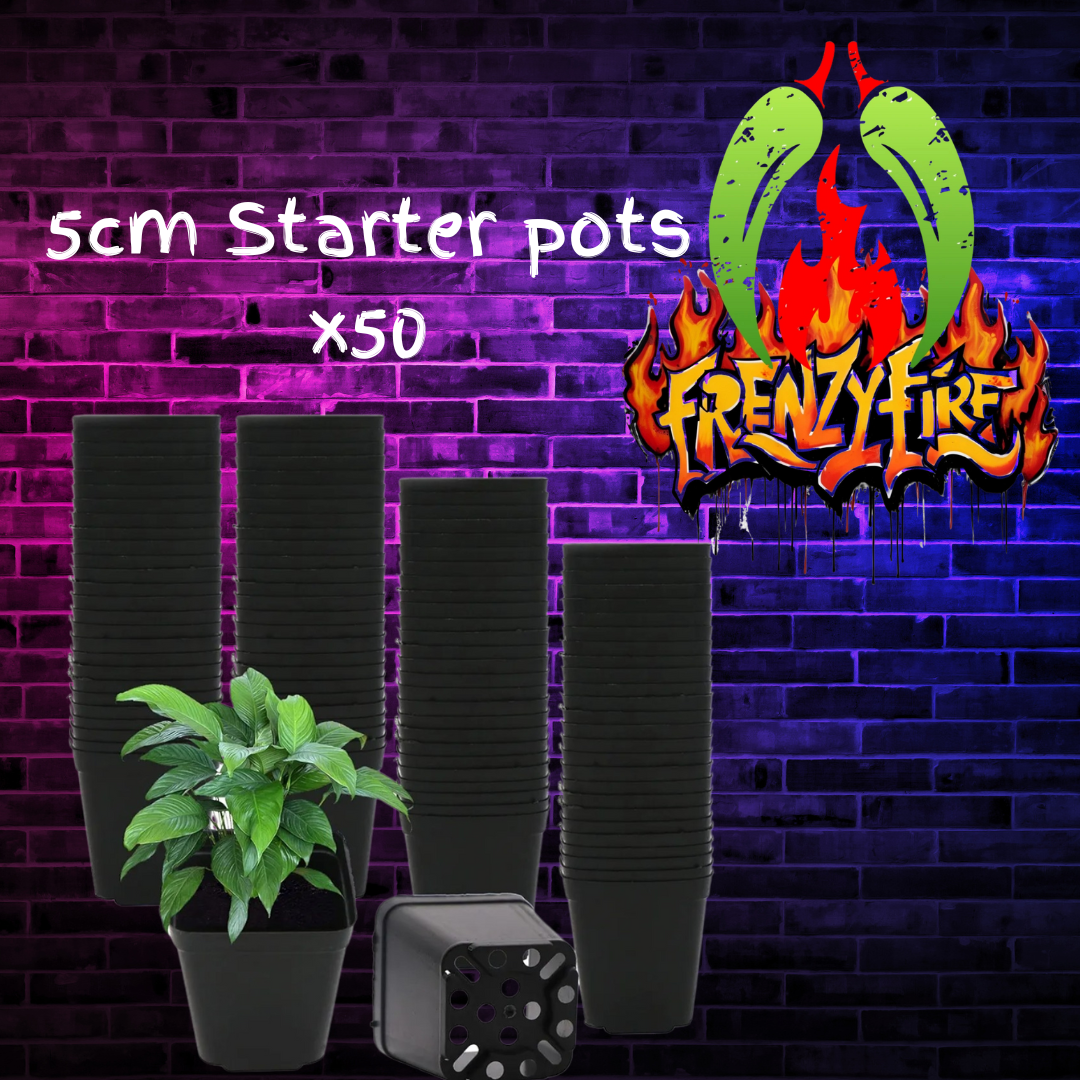 5cm starter pots x50