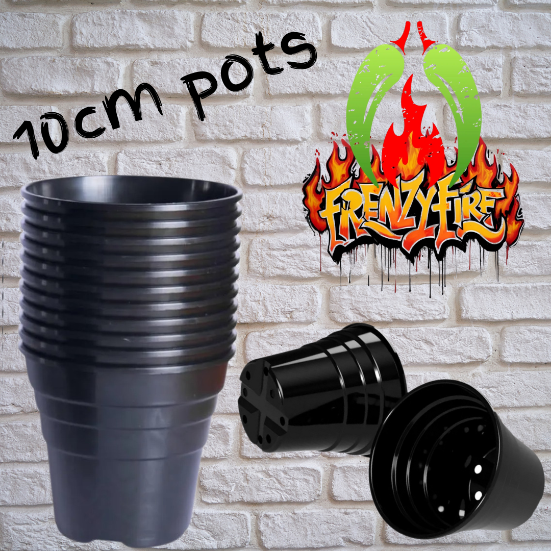 10cm pots