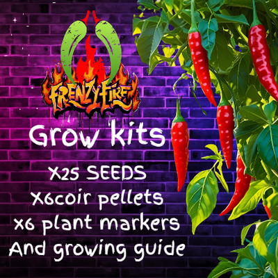 Seed grow kits