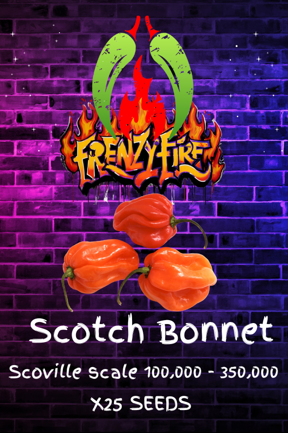 Scotch bonnet seeds
