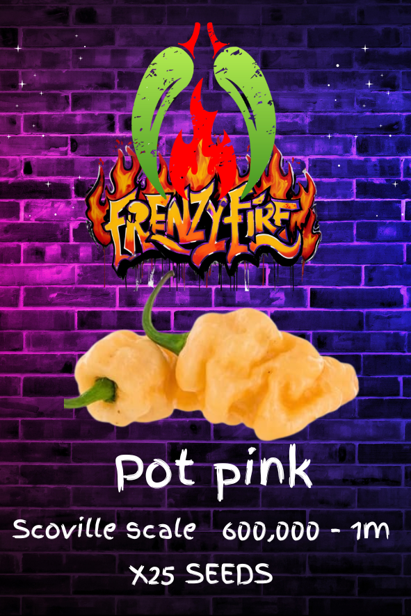 Pot pink seeds