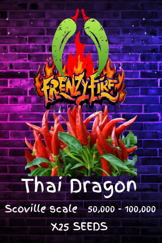 Thai Dragon seeds