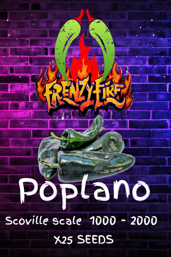 Poplano seeds
