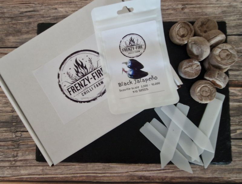 Black jalapeño growing kit