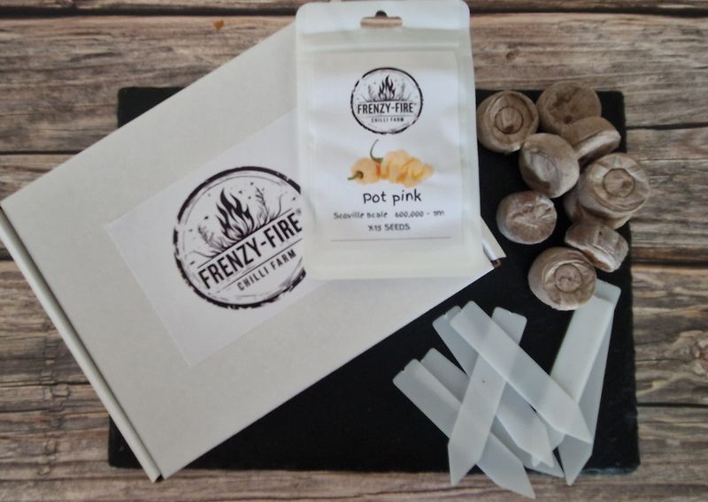 Pot pink growing kit