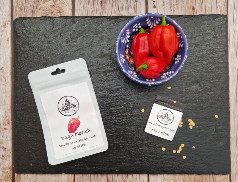 Naga morich