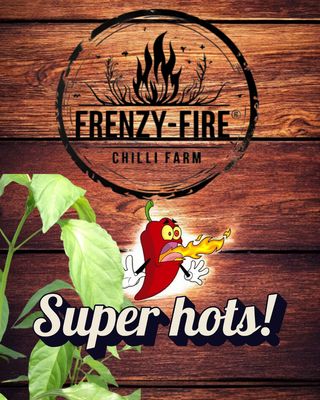 Super hot chilli plugs in 3cm coir pellets.