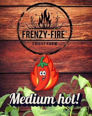 Medium hot chilli plants in 9cm pots