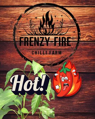 Hot chilli plants in 9cm pots.