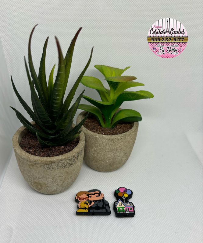 Focales Una Aventura de Altura