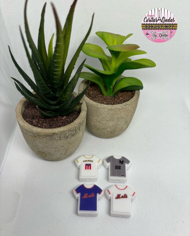 Focales Equipo Pelota