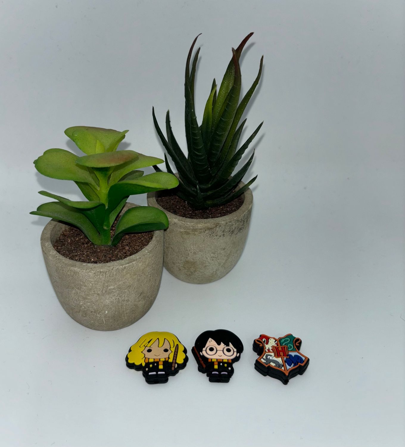 Focales Harry Potter