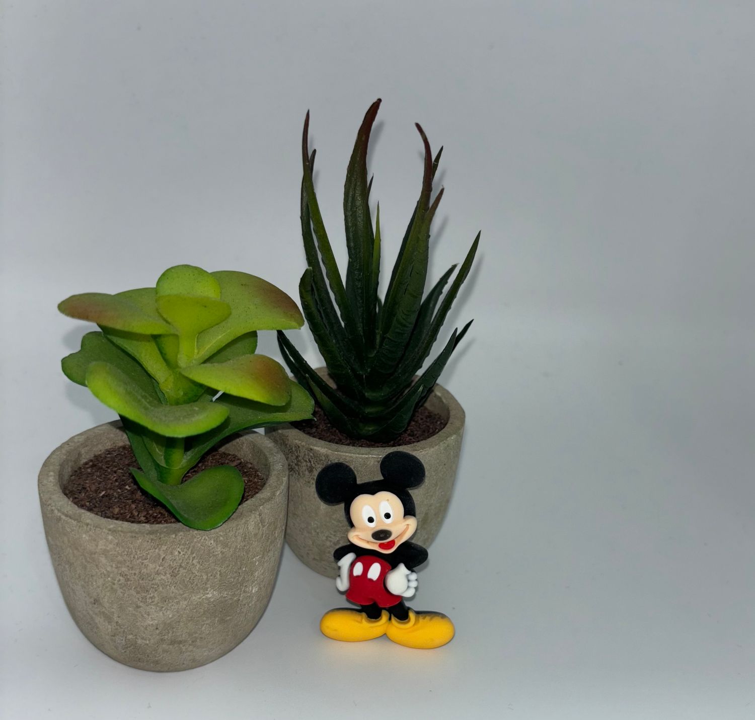 Resina 3D Mickey
