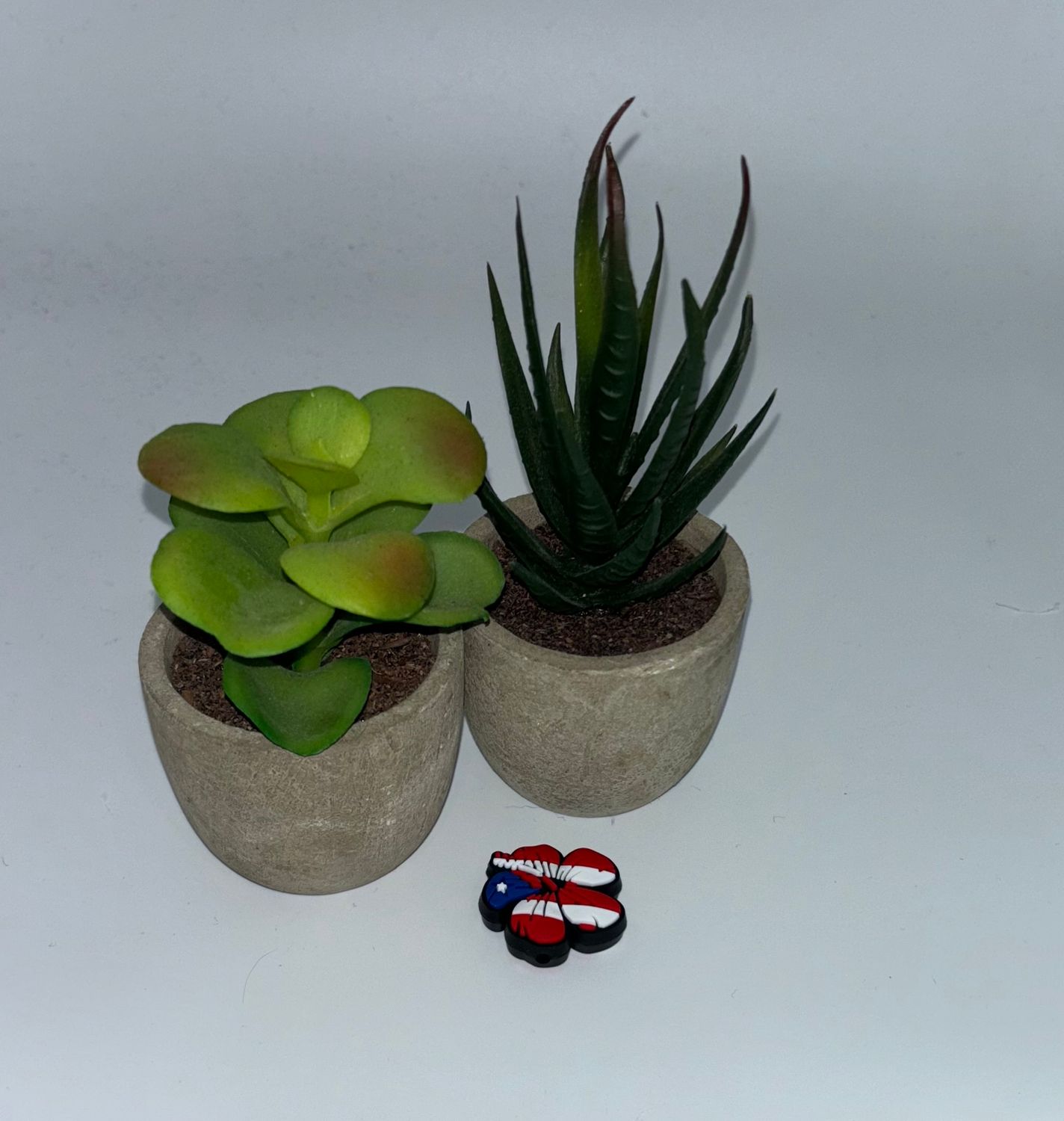 Focal Maga PuertoRico