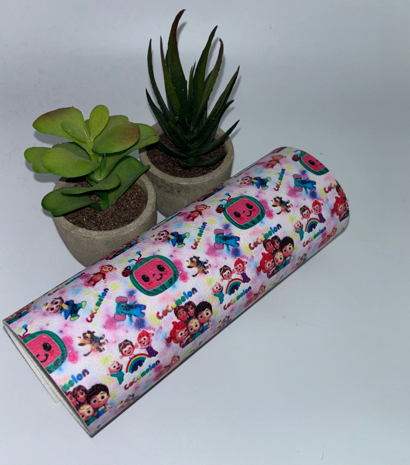 Vinyl Litchi Coco Melón Family