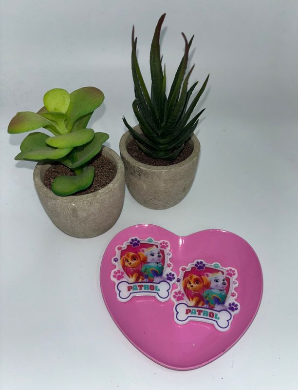 Resina Glitter Paw Patrol