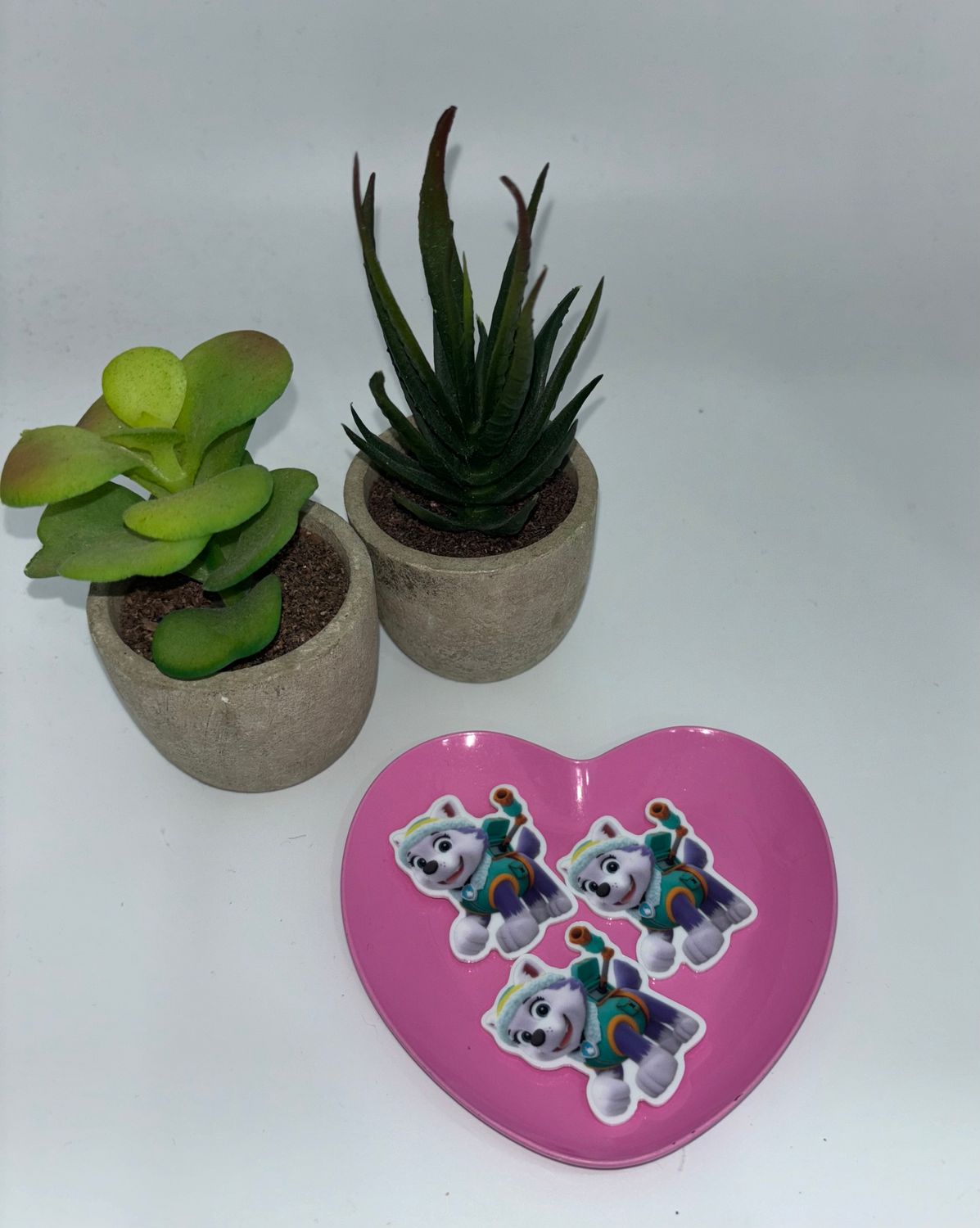 Resina Paw Patrol Rocky