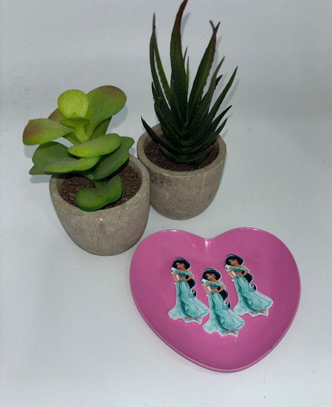 Resina Princesa Jasmin