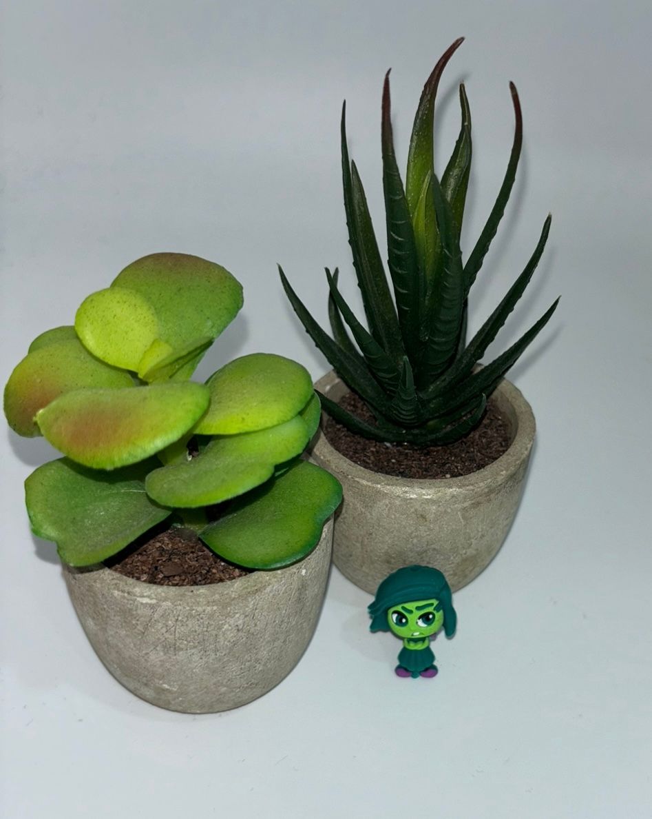 Focales 3D Desagrado