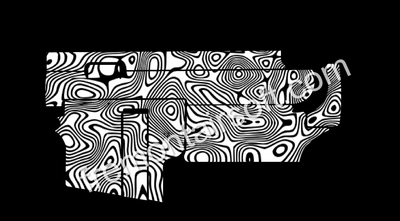 AR lower Damascus template and Pmag Damascus template. SVG file for laser engraving. AR-15 template.