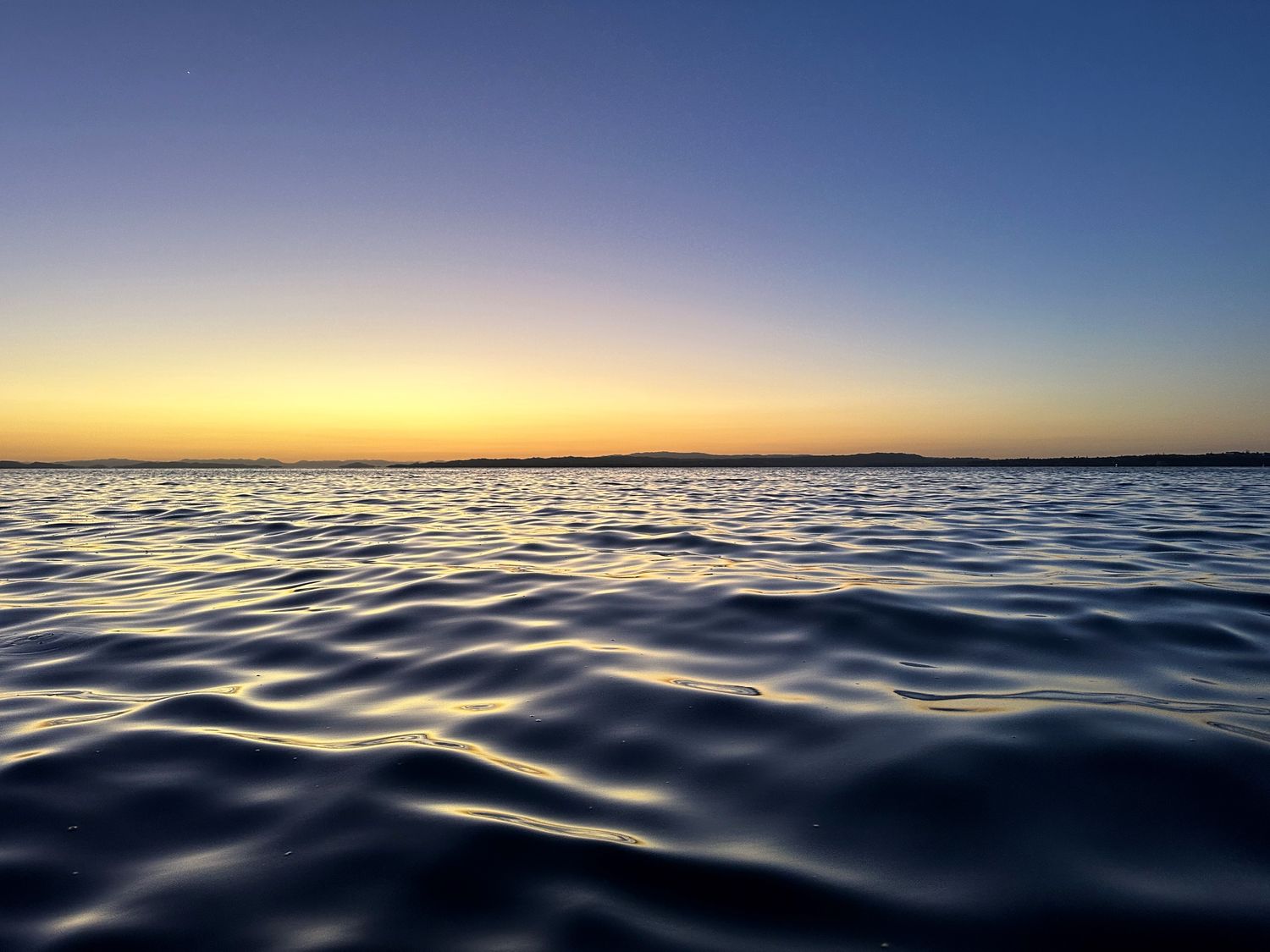 Hauraki Gulf Glassy Waves