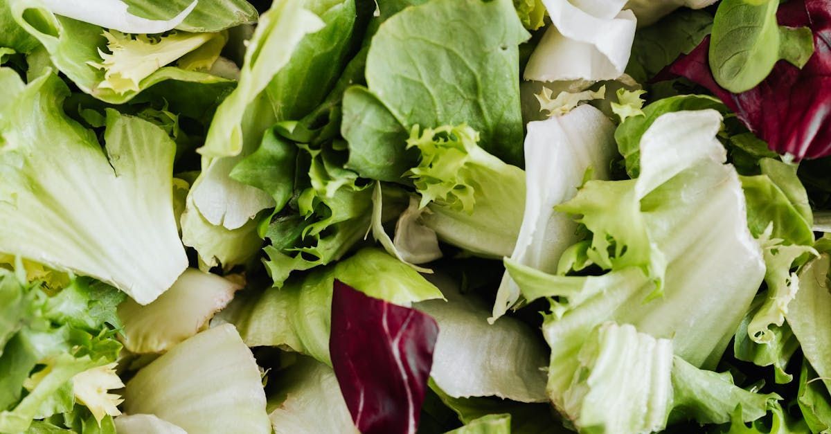 Grüner Salat