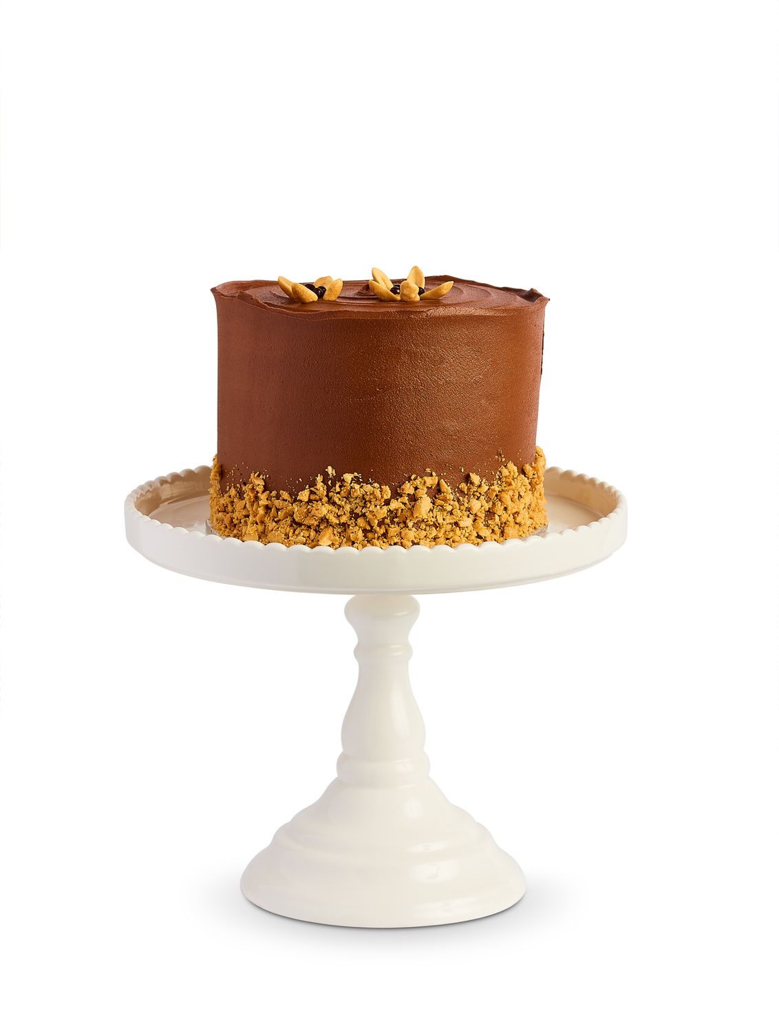 chocolate chip peanut butter cake