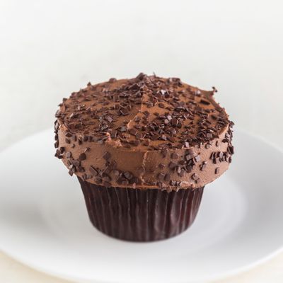 chocolate chocolate