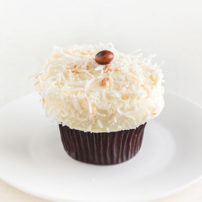 gluten free chocolate coconut