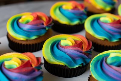 the rainbow box