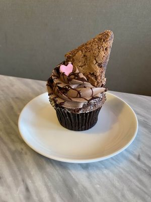 Chocolate Chip Brownie