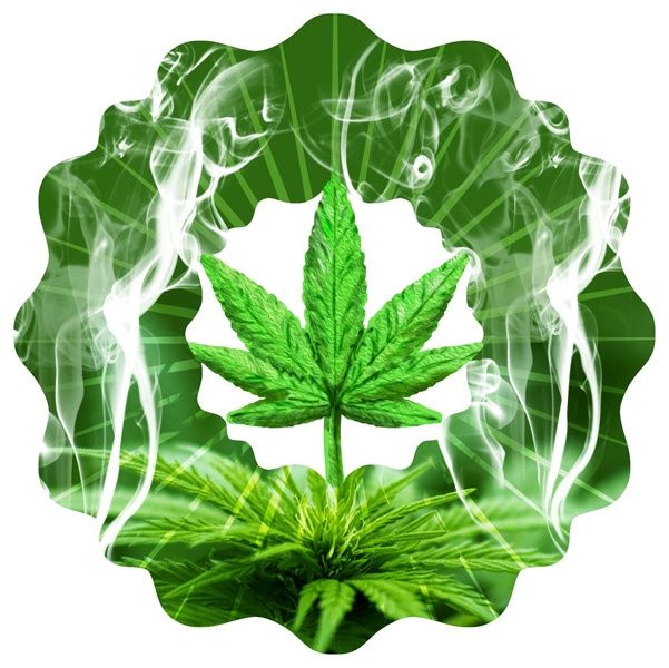 106S - VIVID COLLECTION - CANNABIS - SM