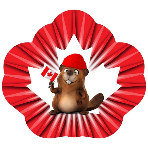 362L - VIVID COLLECTION - CANADA BEAVER - LG