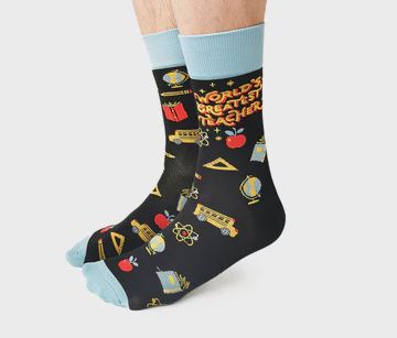 1516 - MEN&#39;S SOCKS - TEACHER&#39;S PET