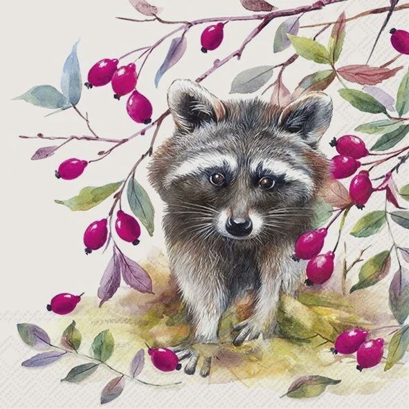 C1050860 - COCKTAIL NAPKIN / BANDIT CREAM