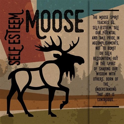 MGNT-44 - MAGNET - MOOSE