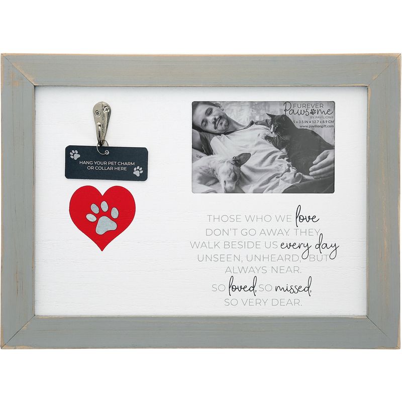 73371 - PET COLLAR MEMORIAL FRAME