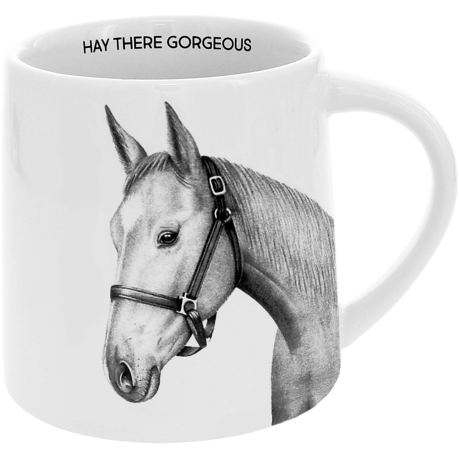41211 - MUG - HAY THERE